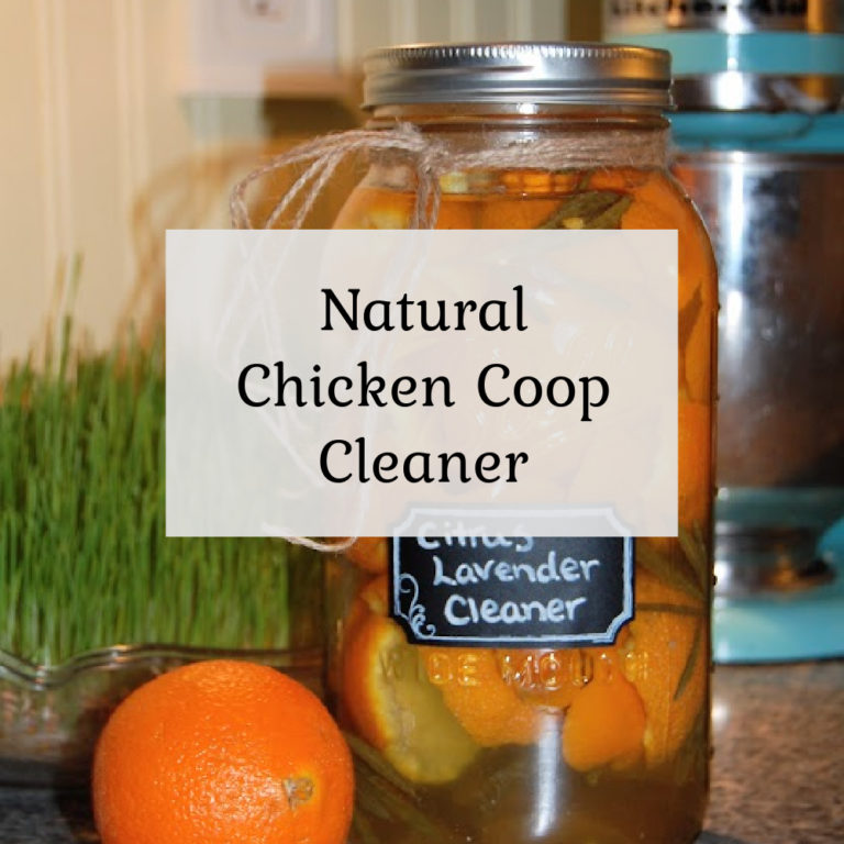 Homemade Chicken Coop Cleaner