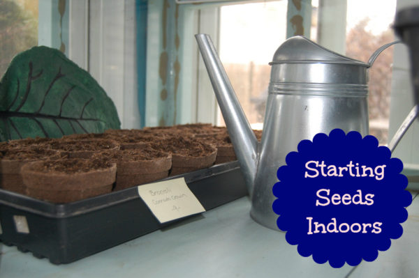 Starting Seeds Indoors