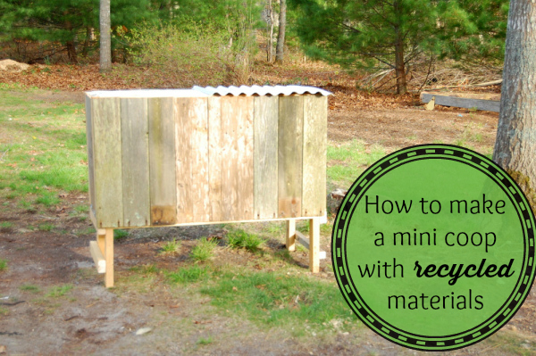 How to make a mini coop with recycled materials - The Cape Coop