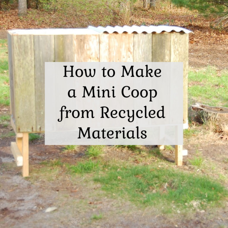 How to make a Mini Chicken Coop with Recycled Materials