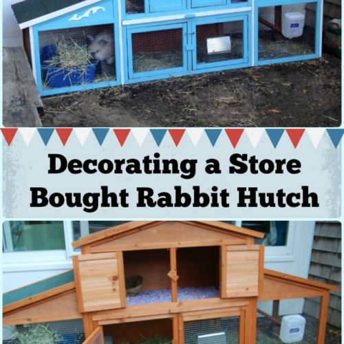 Building a raised base for a rabbit hutch