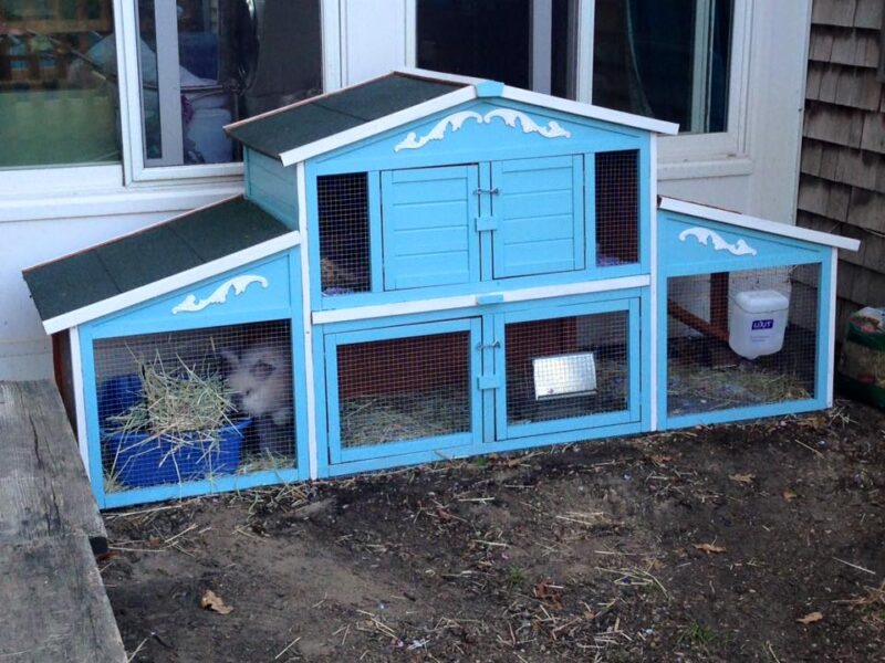 Diy rabbit hutch with run sale