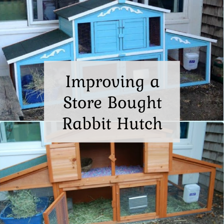 Improving a store-bought rabbit hutch