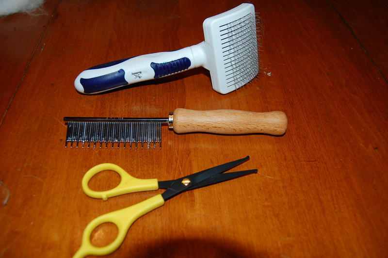 Grooming Angora Rabbits - The Cape Coop