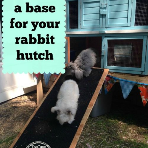 Photo Tour of our Rabbit Yard