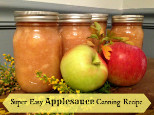 Super Easy Applesauce Canning Recipe -even if you have never canned before!