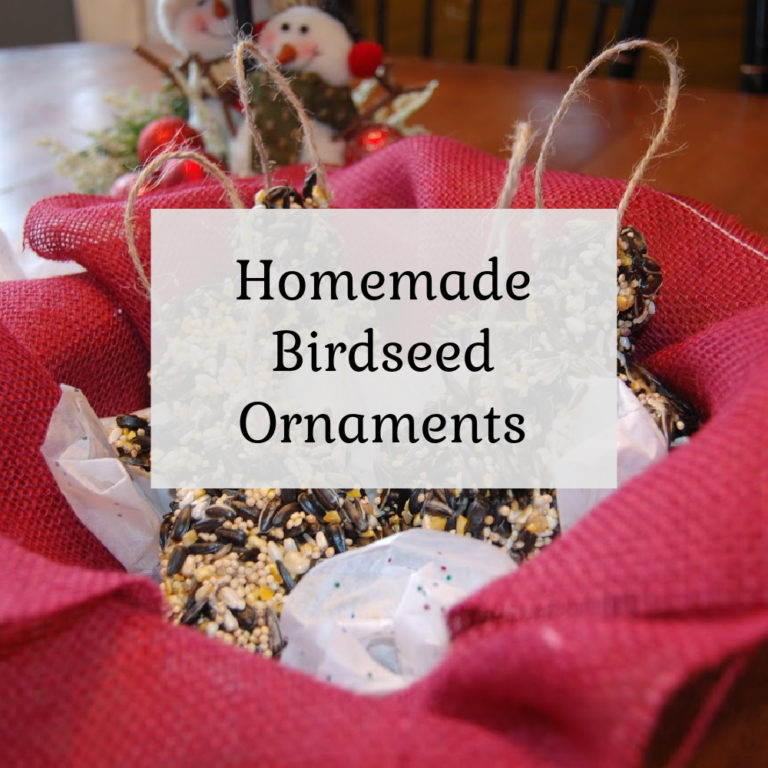 Birdseed Ornaments