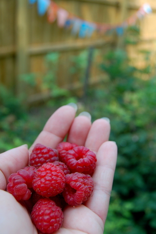 Beginners Guide to Square Foot Gardening - The Cape Coop