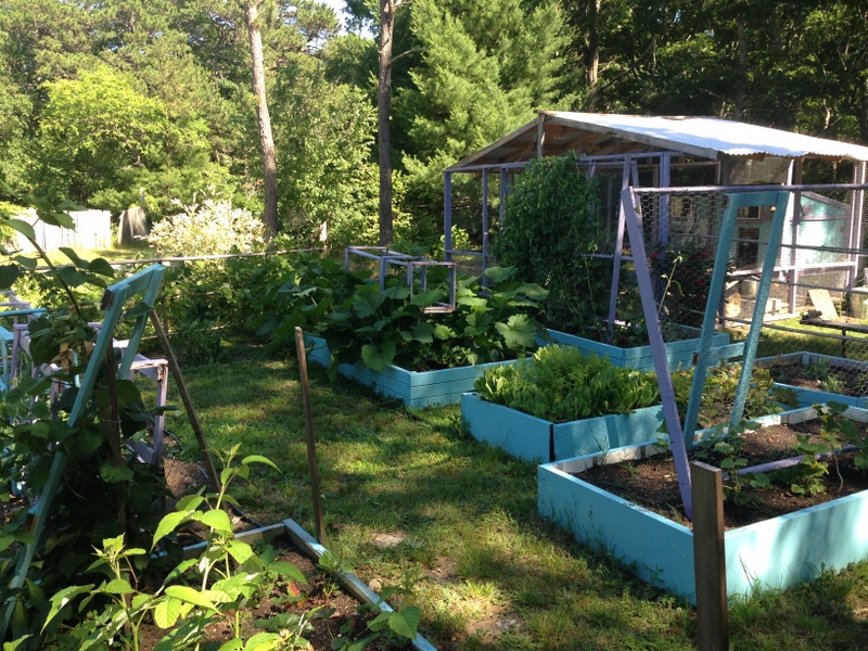 Raised bed gardens