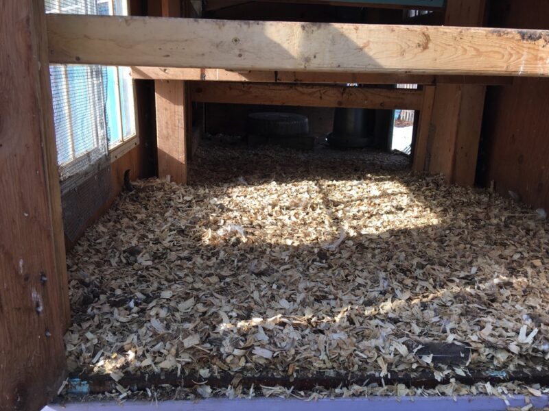 Deep Litter Method Coop Maintence