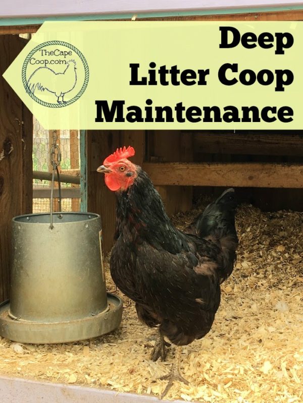 Deep Litter Method Coop Maintence
