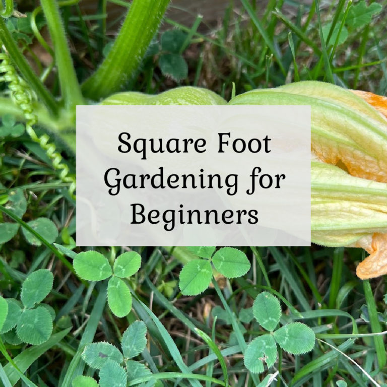 Square Foot Gardening for Beginners