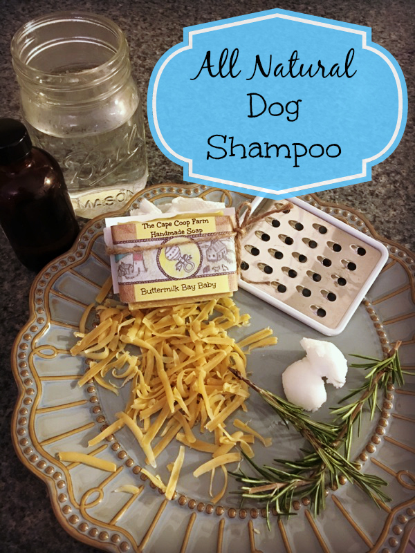 Homemade natural dog shampoo hotsell