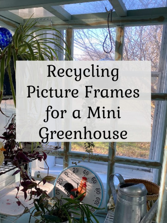 Recycling Old Picture Frames for an Indoor Greenhouse