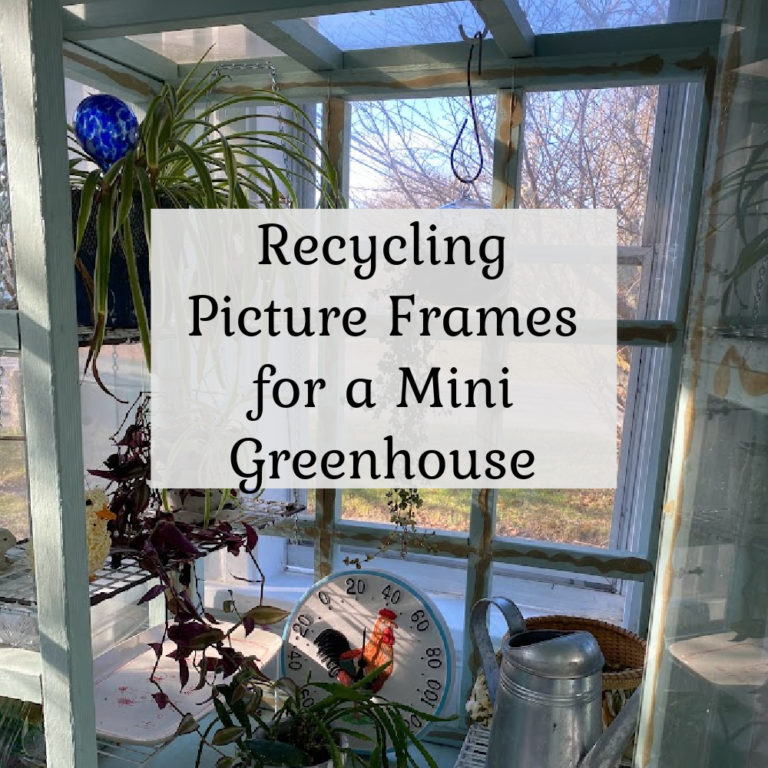 Recycling Old Picture Frames for an Indoor Greenhouse