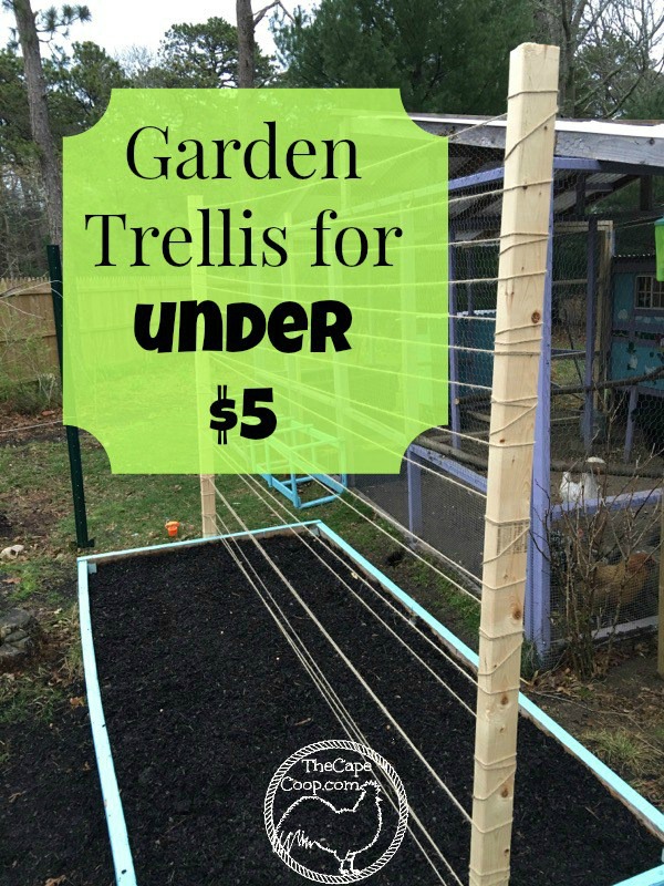 Raised Bed Trellis for Under $5