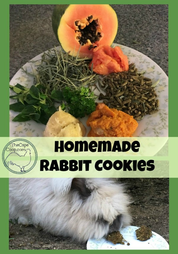 homemade rabbit treats with hay