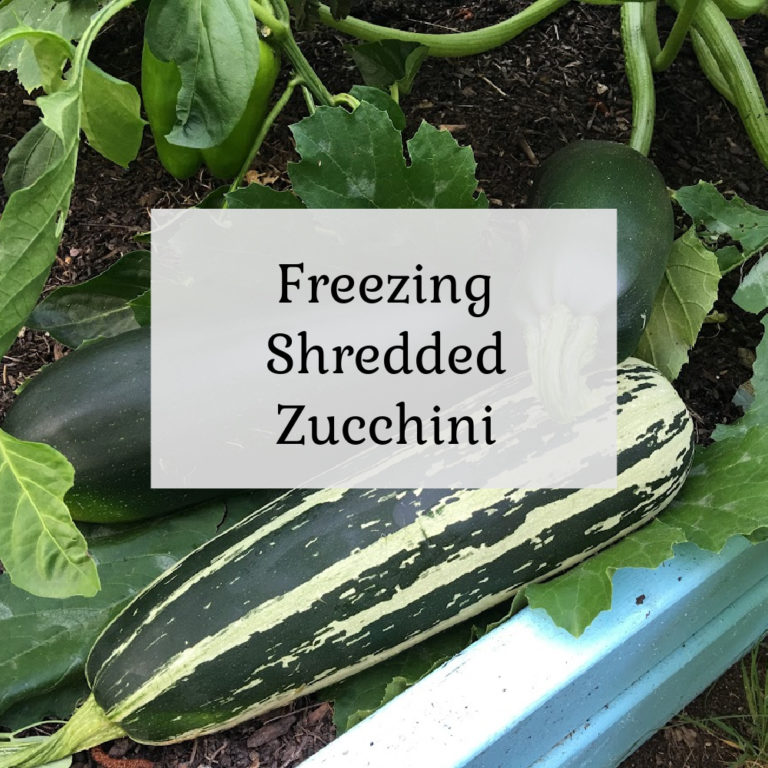 Freezing Shredded Zucchini