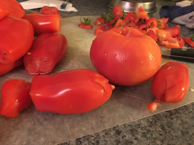 Small Batch Garden Fresh Tomato Sauce - The Cape Coop