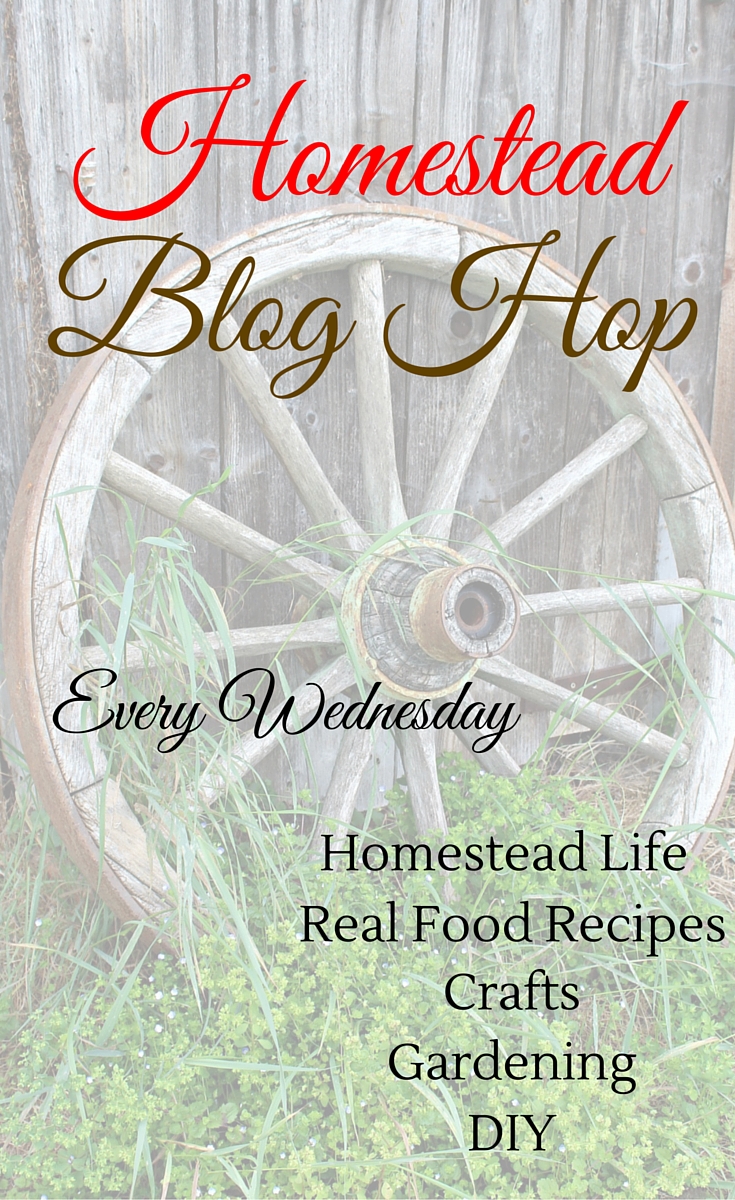 Homestead Blog Hop #142