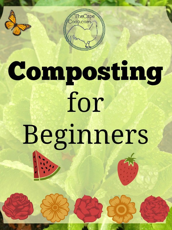 Composting for Beginners