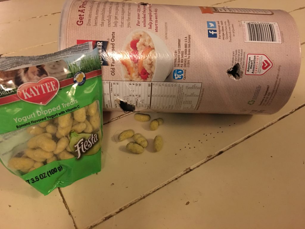 Easy DIY Rabbit Toys The Cape Coop