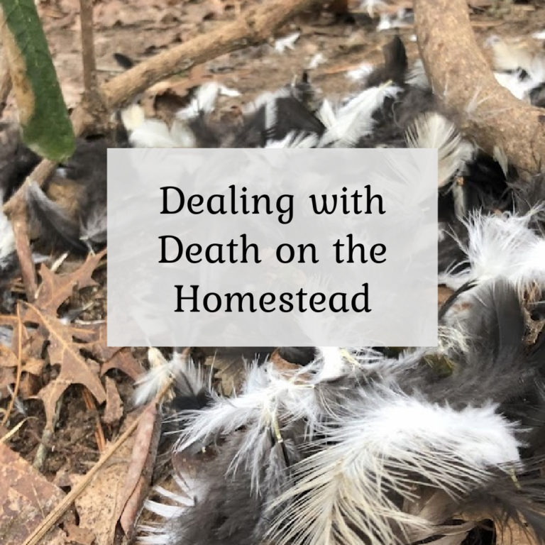 Dealing with Death on the Homestead