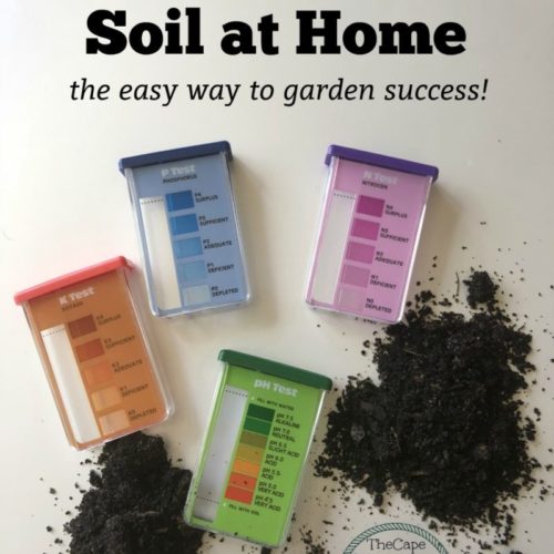 Fighting Powdery Mildew in your Garden The Cape Coop