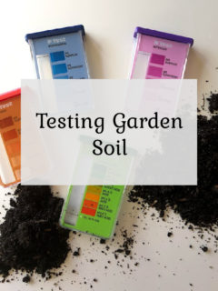 Testing Garden Soil