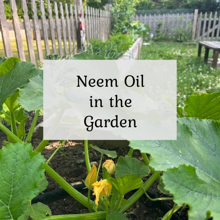 Neem Oil in the Garden