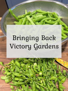 Bringing Back Victory Gardens