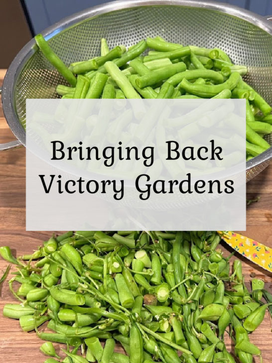 Bringing Back Victory Gardens!