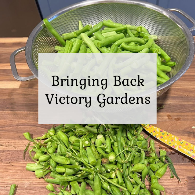 Bringing Back Victory Gardens