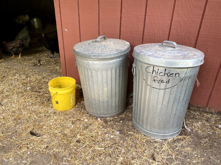 How do I keep rodents out of my coop? The Cape Coop