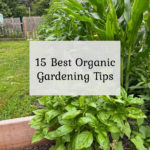 15 Best Organic Gardening Tips