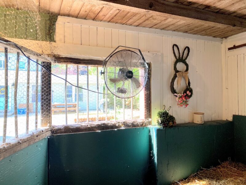 Making a Bunny Barn - Rabbit Enclosure in Barn Stall