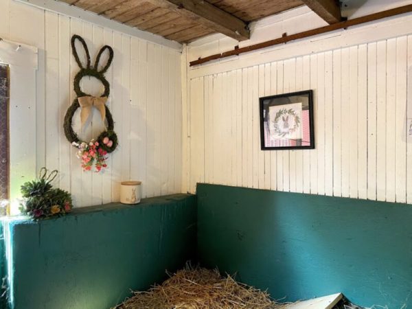 Homemade Rabbit Stall Making a Bunny Barn - Rabbit Enclosure in Barn Stall - The Cape Coop
