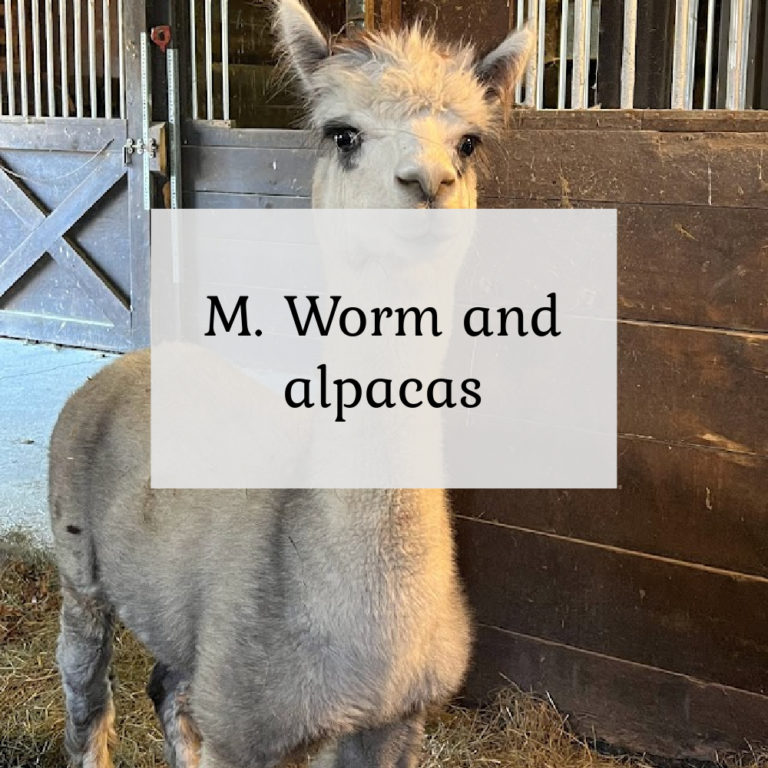 M Worm and Alpacas