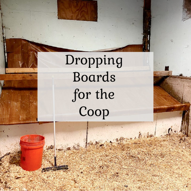 Dropping Boards for the Coop