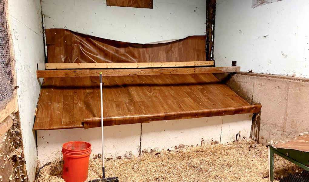 Dropping Board for Your Chicken Coop The Cape Coop