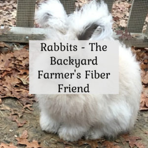Rabbits - The Backyard Farmer's Fiber Friend