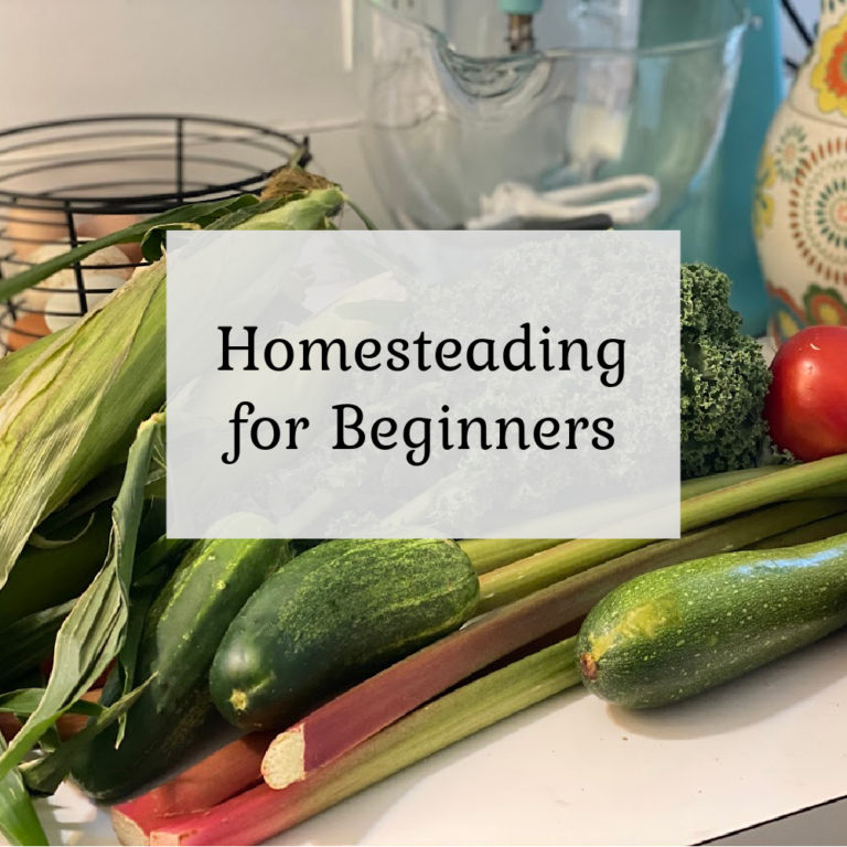 Homesteading for Beginners