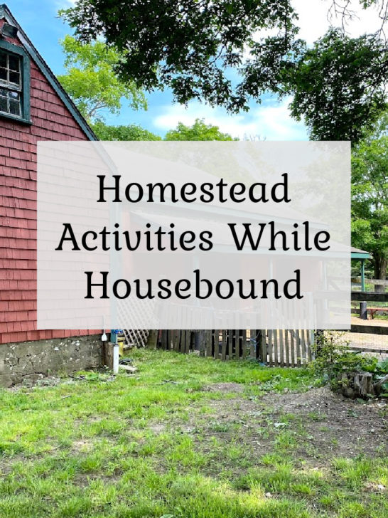 Homesteading Activities while Housebound
