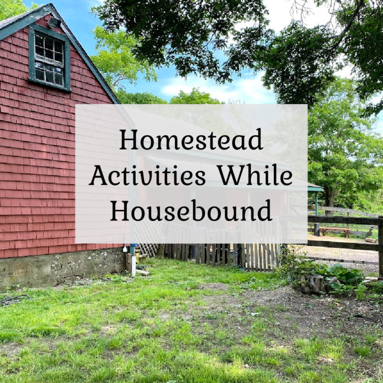 Homesteading Activities while Housebound
