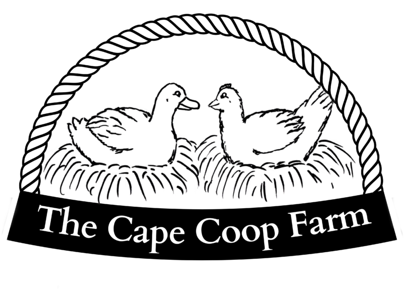 The Cape Coop