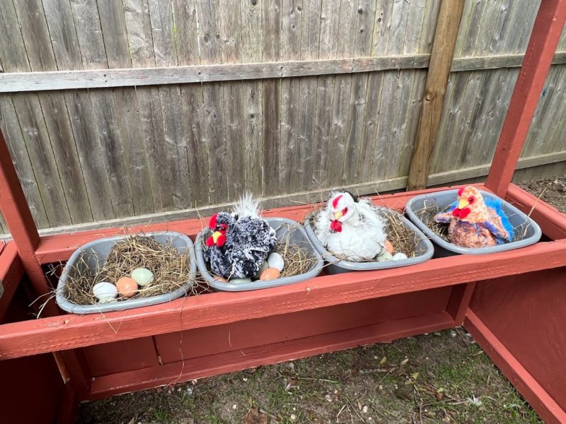 Kid's Chicken Coop Playset The Cape Coop