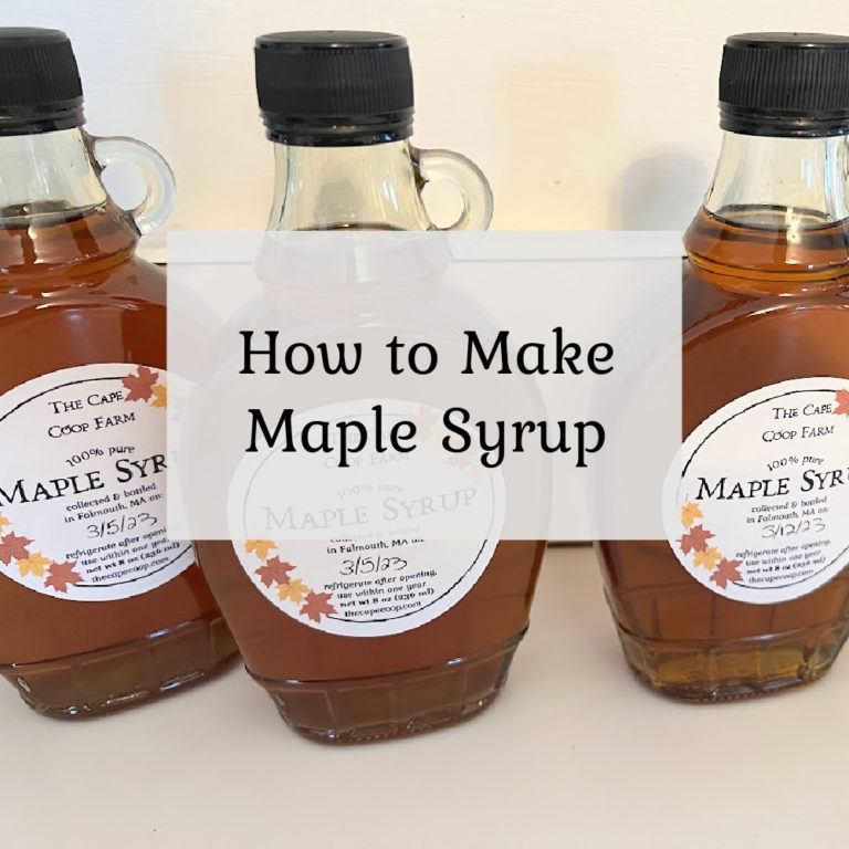 How to Make Maple Syrup