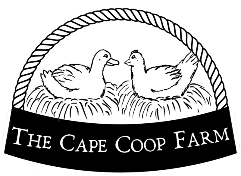 The Cape Coop Farm